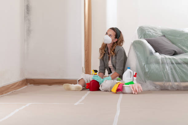 Reliable Black Mold Remediation contractor in Bel Air, MD by Mold Remediation HQ